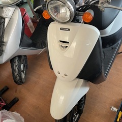 ホンダ AF67 today  とりあえずの足にの画像