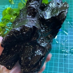 水草付き流木　16 アヌビアス　ジェイド他の画像