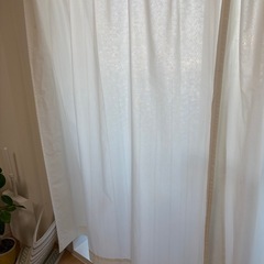 カーテン・レースカーテンの画像