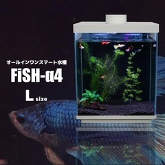 水槽ガラス【オールインワン】スマートガラス水槽 Fish-α4 12Lの画像