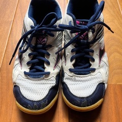 バレーボールシューズ22.5センチの画像