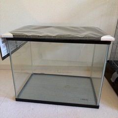 ペット用品まとめうりの画像