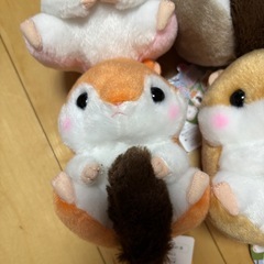 ころはむコロン リスの森 ぬいぐるみ マスコット 4種セット　コンプリートの画像