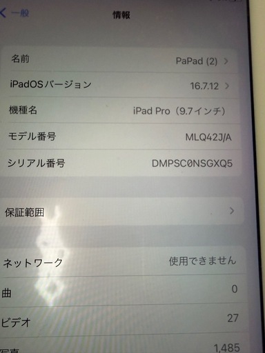 iPad pro 9.7インチ　セルラーモデル