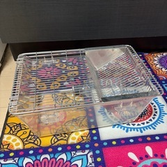 ラット、マウス、ハムスター、ハリネズミ、ウサギ飼育ケージセット 三晃商会 ルーミー マルチ60 研究所飼育ケージ  の画像