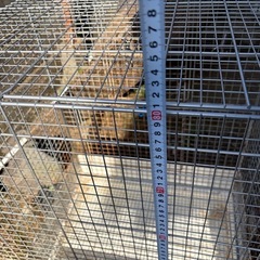 サンコーケージ鳥かご　イージーホーム60ハイ
の画像