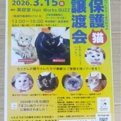 3月15日東尾道で保護猫の譲渡会