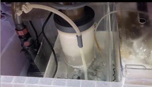 オーバーフロー水槽