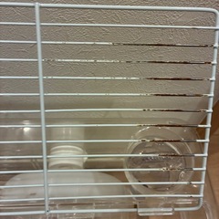 🐹ゲージ✨飼育セットハムスター✨インコの画像