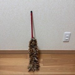 車に傷がつかない鳥の羽ほこり落としの画像