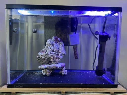 海水魚水槽セット