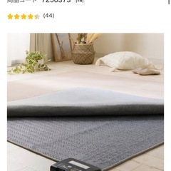 ラグ付きホットカーペット　2畳用　説明書付きの画像