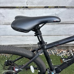 格安！アラヤ,MUDDY FOX !　整備済み！の画像