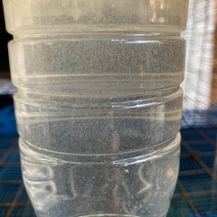 ゾウリムシ
の画像