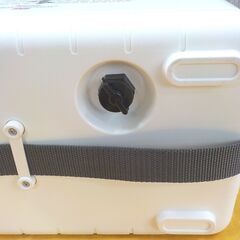 クーラーボックス 11L ホリデークーラーボックス 幅40㎝ 保冷 ホワイト 釣り アウトドア 西岡店の画像