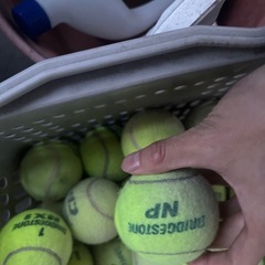 NP 硬式テニスボールの画像