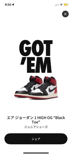 NIKE ナイキ　エアジョーダン1HIGH OG 