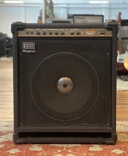 Roland     BN-100 ベースアンプ 100W / 15インチスピーカー 完動品（音出し確認済み）