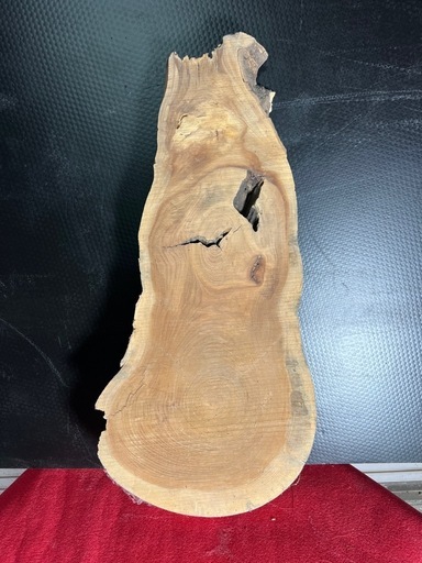 切り株？