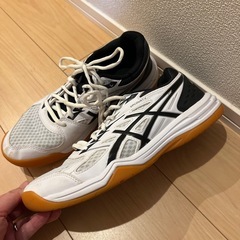 ★バレーボールシューズ25.0cm★の画像