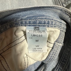 Leeペインターパンツ/M/デニム/IDG/無地/LM4288/の画像