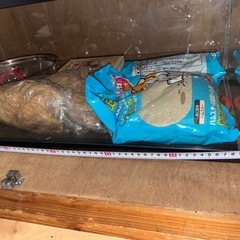 (取り引き中
)ハムスター用品、水槽(場所によりますが配達可能) の画像