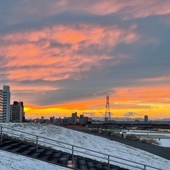 気楽にゆるっと散歩🚶‍♀️