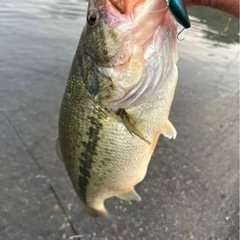 おかっぱり女性釣りガイド