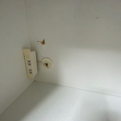 ★3/22まで限定★コンパクトな食器棚★の画像