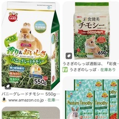 うさぎのチモシー譲ってください！！