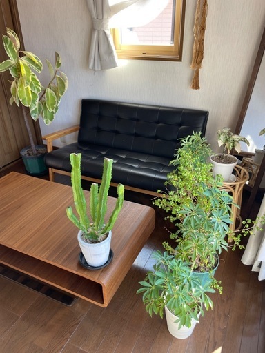 ローテーブル収納付き