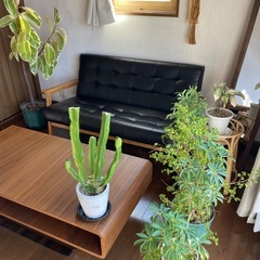 ローテーブル収納付きの画像