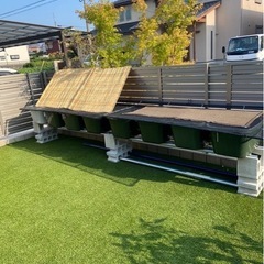 メダカ　容器　60L  タライ　7個の画像