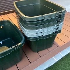 メダカ　容器　60L  タライ　7個の画像