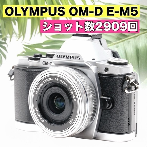 OLYMPUS OM-D E-M5 ミラーレスカメラ パンケーキレンズ