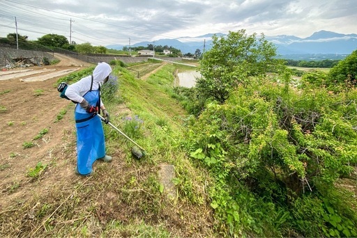 草刈り