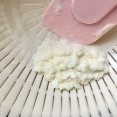 ミルクケフィアグレインやコンブチャマザー　紅茶キノコ株に興…