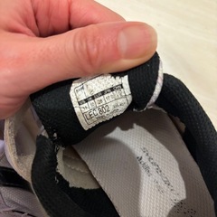 17㎝スニーカーの画像