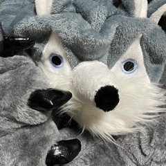 コスプレをして大阪城公園内のお散歩＆ご散策会🐺👯‍♀️🌳🏯🌳