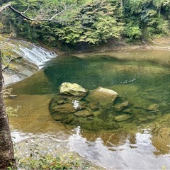 BBQ 生田、百合ヶ丘、読売、近辺