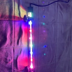 魚の水槽ライトの画像