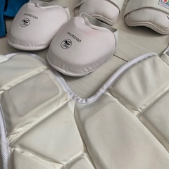 空手防具セット　小学中学年の画像