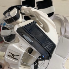 空手防具セット　小学中学年の画像