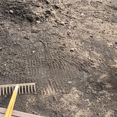 残土　差し上げます（土のう袋入り、1袋約10キロ、ふるい済み）の画像