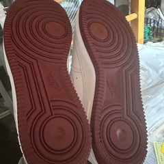 25センチの画像