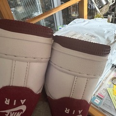 25センチの画像