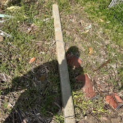 コンクリートの画像