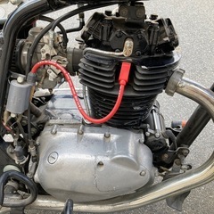 エストレアの画像