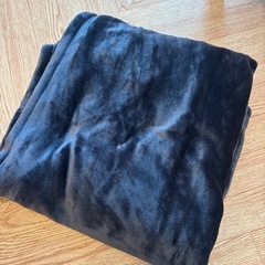 電気毛布　ひざ掛けサイズの画像