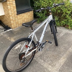 シボレー　自転車の画像